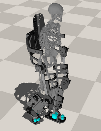 LECTER exoskeleton skeleton model
