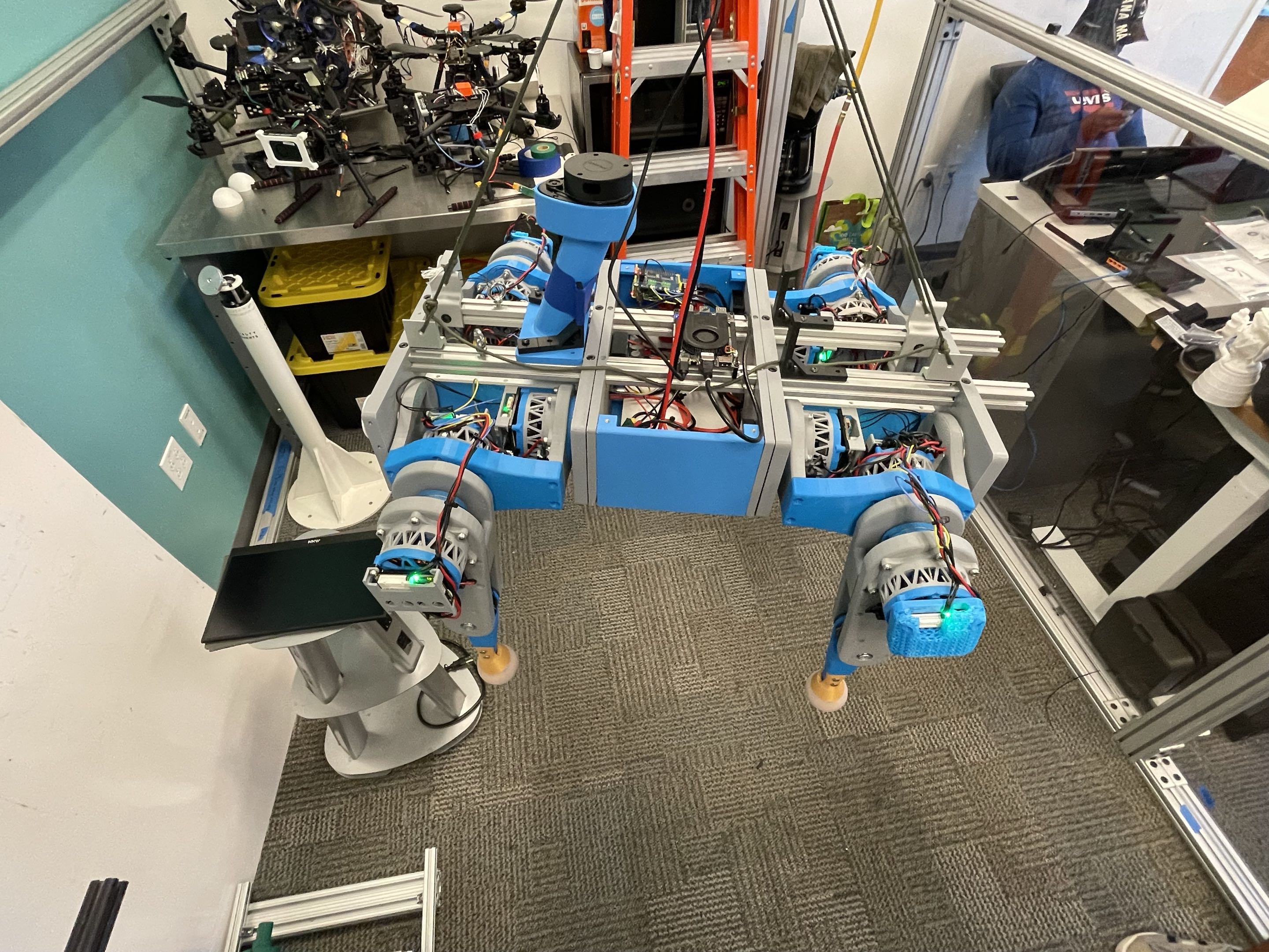 OpenMutt quadruped suspended during testing